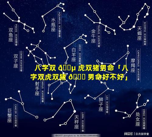 八字双 🐵 虎双猪男命「八字双虎双猪 🐘 男命好不好」